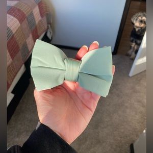 Birdy Grey Sage Dog Bow tie